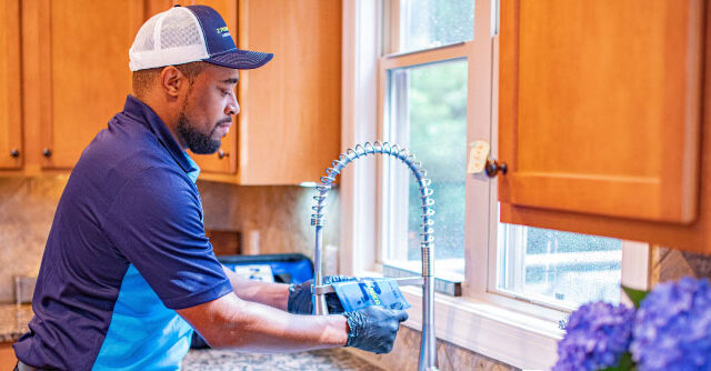 Z PLUMBERZ Franchise 2